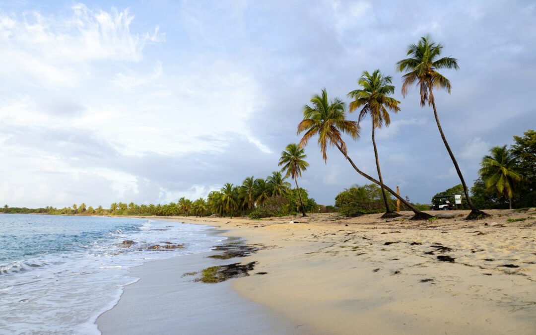 Stay Safe at Puerto Rico Beaches: What to Know About Rip Currents